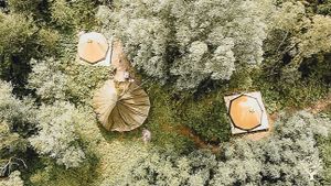 Nature park with selfgrowing vegetable garden