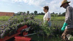 Kleiner Familienbetrieb in Aussiedlerlage mit Kräuter und Blumenanbau und ein paar Tieren