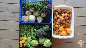 Smallholding