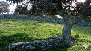 Artisanal Production of Acorn Flour on Kea Island in Greece