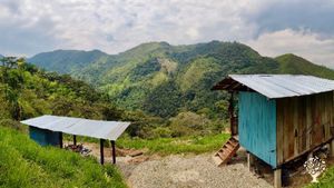 A view from behind the cabin. 