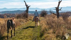 Hutsul Horses and Natural Gardening Farm based on agroecological principles