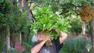 Jardins bio et maison autonome en auto-production électrique / Organic gardens and off-grid house