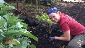 Warm Community - Coffee & C@c@o Farm - on Sunny Kona side