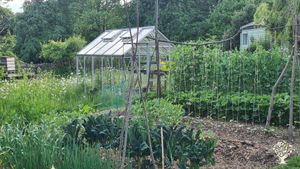 Vegetable garden