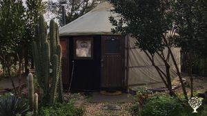 Cactus Sanctuary & Regenerative Farm (Syntropic Agriculture)