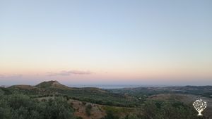 Sono Samuel, ho 27 anni e ho ripreso l'azienda apistica di famiglia,