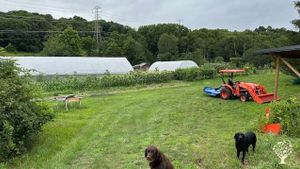 Organic fruit, vegetable, egg, and honey farm