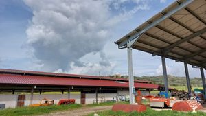 Azienda agricola biologica che pratica agricoltura organica e rigenerativa nel cuore del Cilento