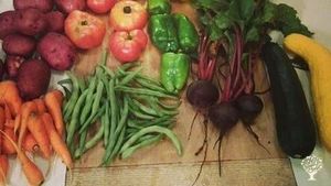 Family farm located in  peaceful sandhills of Nebraska