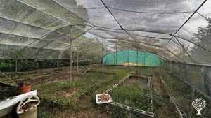 Organic farm at a beachfront hotel