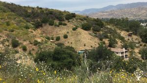 Permaculture homestead hillside farm in LA