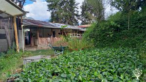 Finca agroecológica