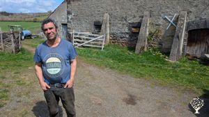 Elevage vaches allaitantes de montagne