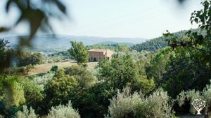 Coltivazione e trasformazione piante officinali e aromatiche