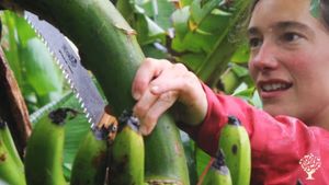 We are an on grid small scale farm that serves the local community.
