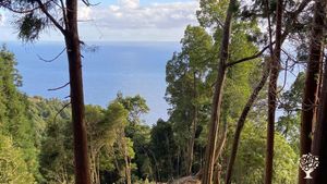 Eco Village / Artist in Residence / Free spaces