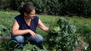 Farm with organic cultivation in permanent beds