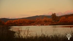 Help us in our permaculture garden and organic shop in the Chalkidiki area, Greece