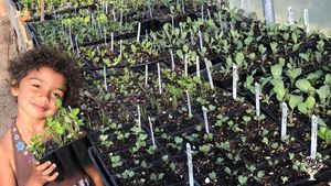 Beautiful organic family farm in the Sierra foothills near Grass Valley, California