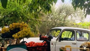 Educational Centre, Family farm