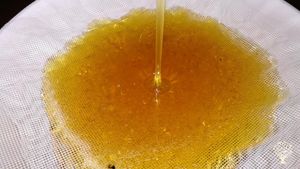 Family home and garden - rural, Hobby Farm, Eco Lodge/Wilderness Adventures, Eco Retreat, Vineyard