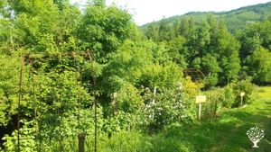 Terre de résilience: Décroissance, Autonomie et respect du Vivant.
