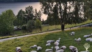 Family farm, Community farm, Dairy farm