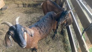NGO Family farm association practicing biodynamic agriculture
