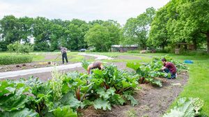 Educational Centre, Farm, Family farm, Community farm