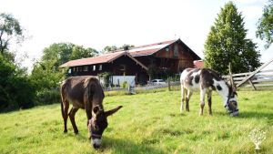 Jugendherberge mit extensiver Landwirtschaft