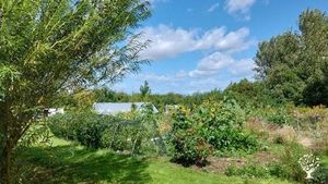 New woodland with organic fruit veg and flower growing areas
