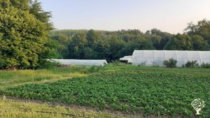 Ferme de maraichage bio