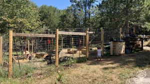 Veggie garden