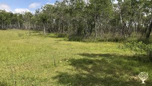 Biodynamic vegetable farm and earth ship