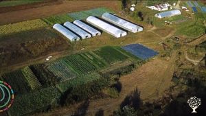 Permanent Center for Production, Innovation and Education in Regenerative Agriculture