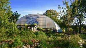 Family home and garden - rural, Homestead, Community farm