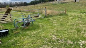 2 acre smallholding in the Scottish Highlands