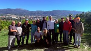 Organic independent winery: vineyard, cellar, tastings & lifestyle in Umbria, Italy