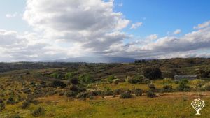A view over our land and water tank, with the valley and landscape stretching out around us.