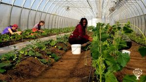 Des étudiantes vienne apprendre avec nous, ici la gang du projet SENS du cegep Saint-Laurent.