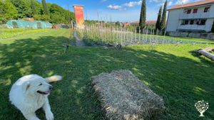 La nostra fattoria si trova all'interno delle mura di un convento. Orticole e animali vari.
