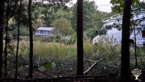 Ecological restoration while learning ancestral techniques, eating well, and enjoying nature.