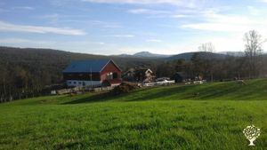 Eco Lodge/Wilderness Adventures, Livestock Farm