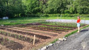 Organic Market Garden in West Wales