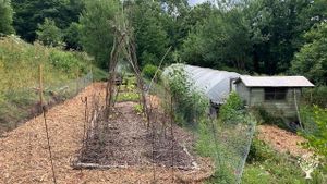 Small mixed farm and woodland on the edge of the Black Mountains, growing food and coppicing