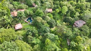 42 acres is home to established fruit trees, wildlife hospital, pool, restaurant, goats, and more