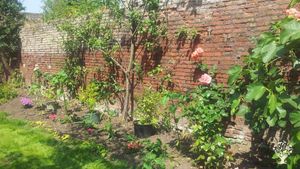 House and garden