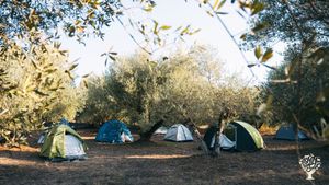 Un'oasi basata sul rispetto di natura e animali tra le colline Marchigiane.