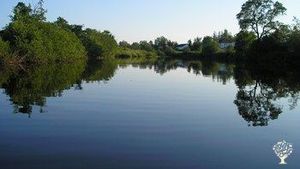Educational area, Agritourism Destination, Market Garden, Farm, Family farm, Seed Saving, Herbalism